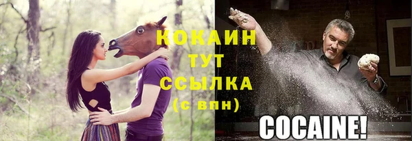 спайс Алексин