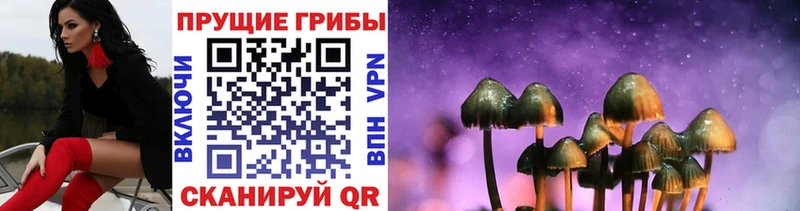 Галлюциногенные грибы ЛСД даркнет сайт Алзамай